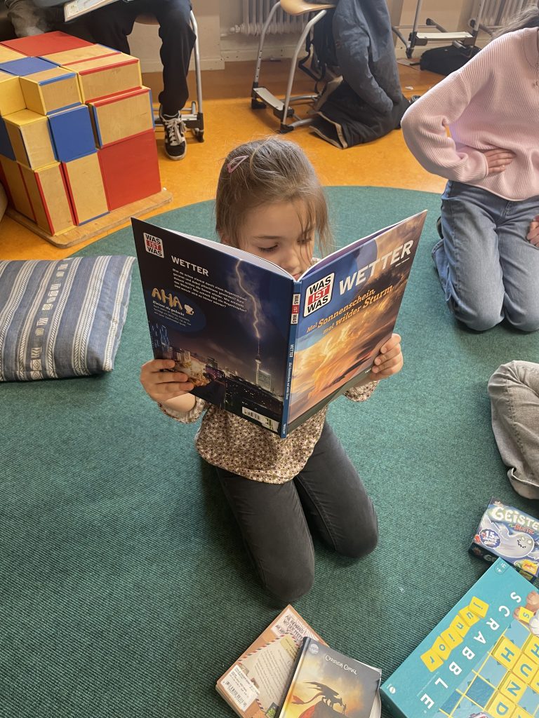 Bilder aus dem Projekt